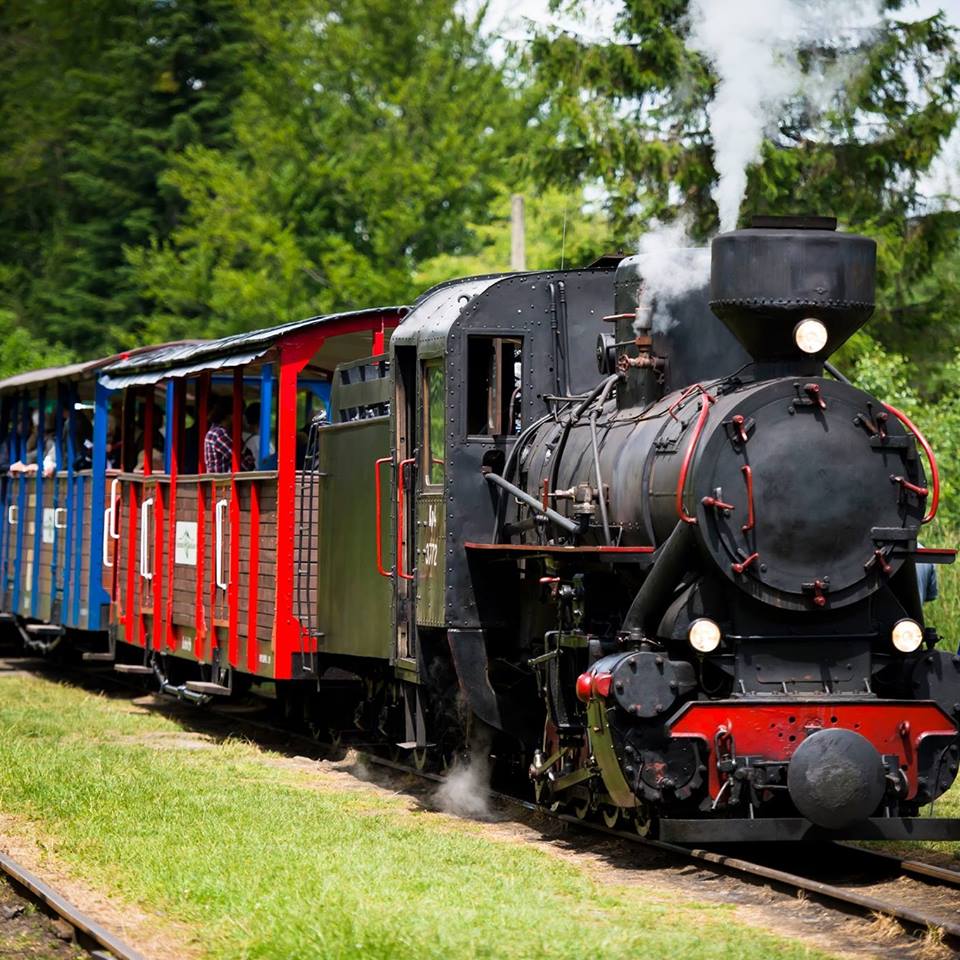 Kolej wąskotorowa przyciąga turystów