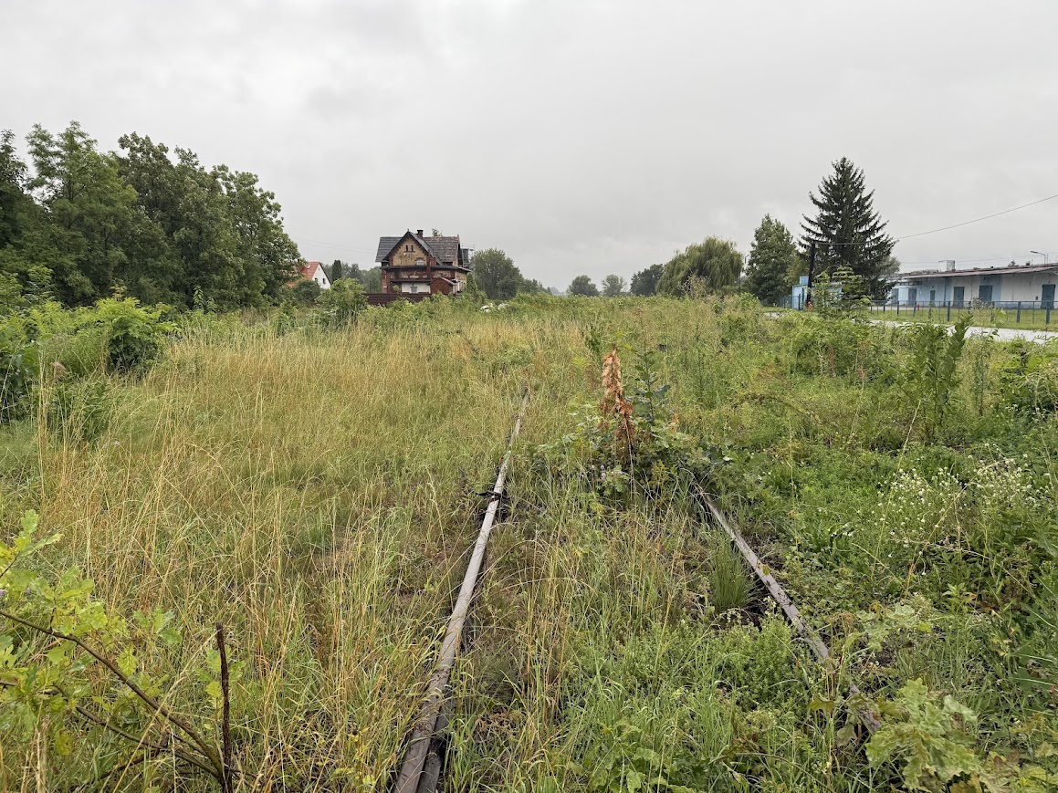 Raport o wykluczeniu komunikacyjnym – kiedy publikacja?