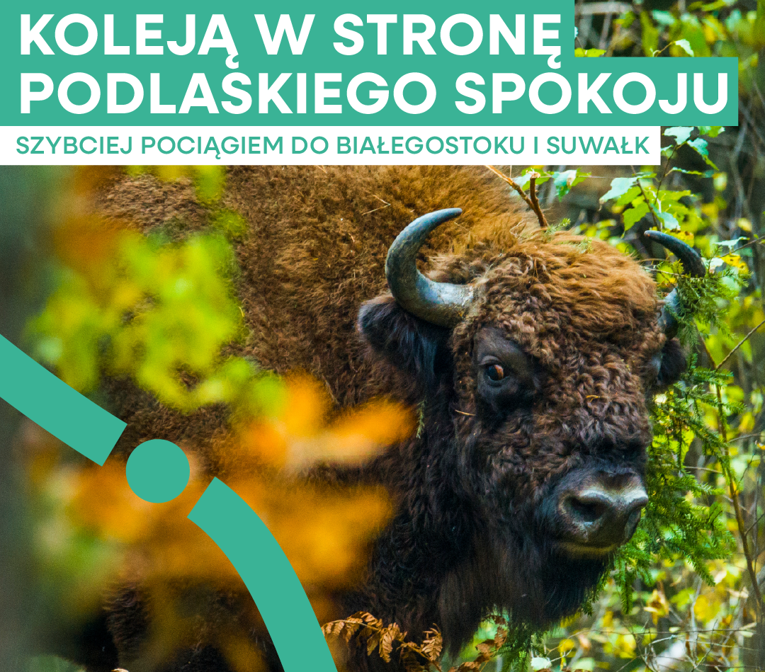 Wiosenna oferta PKP Intercity na Podlasie