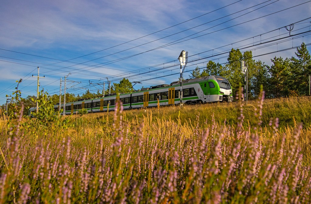 Koleje Mazowieckie – latem będzie ZKA