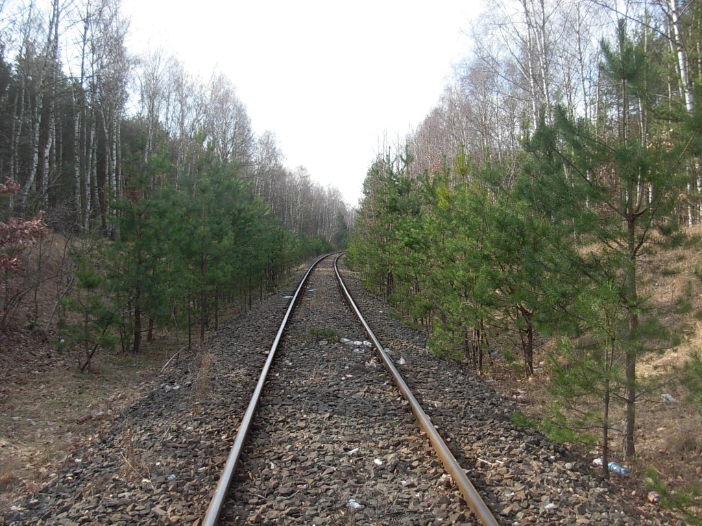 Linia 356 ma być przejezdna do Bydgoszczy