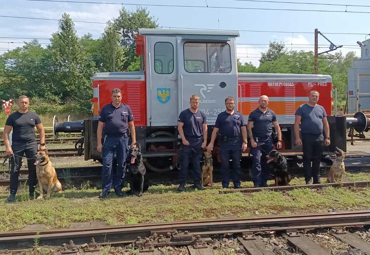 Psy przypilnują bezpieczeństwa w POLREGIO
