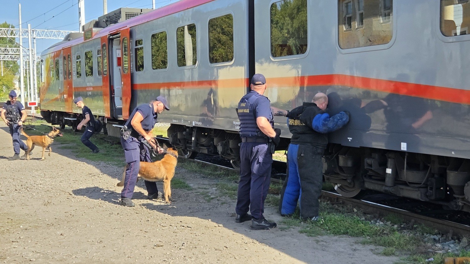 Ćwiczenia policji i SOK z psami służbowymi
